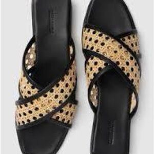 Chic Black and Tan Women's Sandals